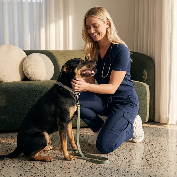 Vet Med Scrubs